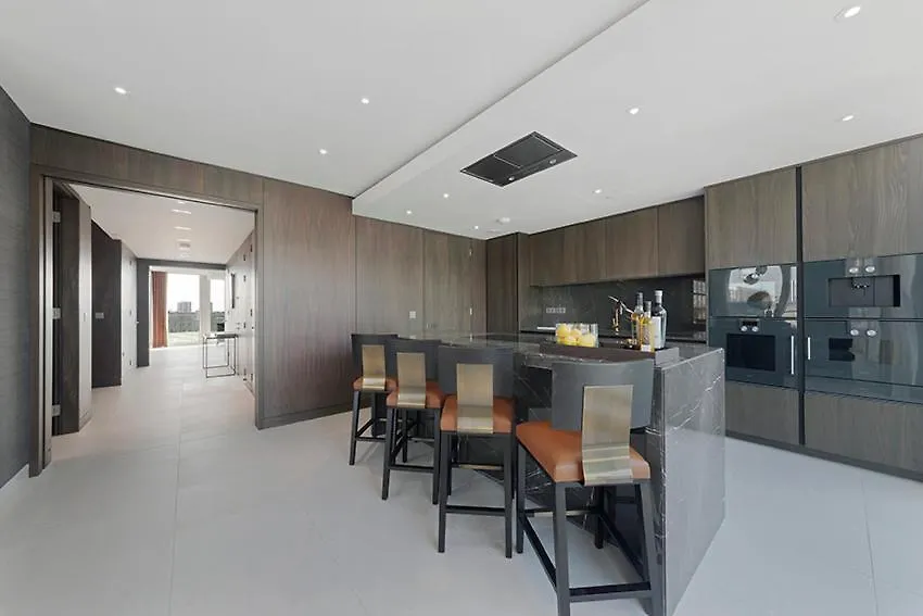 River Thames Duplex Penthouse Apartment London 0*,